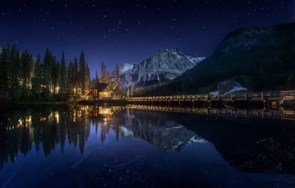 Picture forest, the sky, water, stars, mountains, night, Canada, house