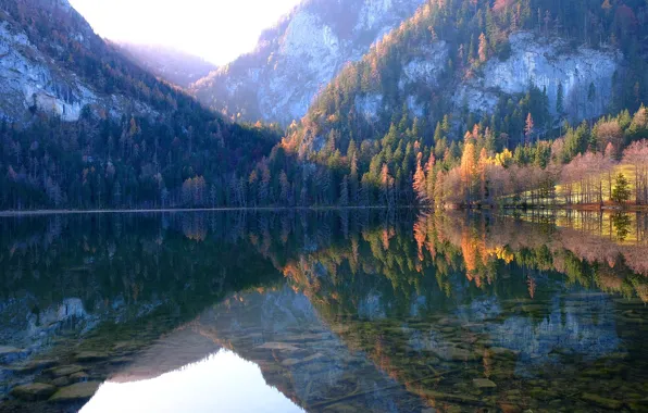 Picture autumn, forest, the sky, water, light, trees, mountains, yellow