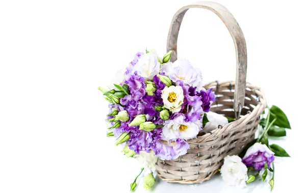 Basket, Eustoma, Natalia Klenova