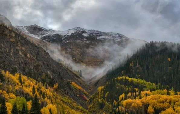 Autumn, forest, snow, mountains, fog, the slopes, tops, view