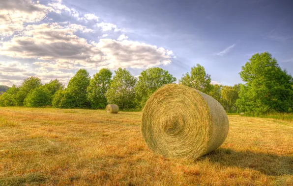 Picture the sky, the sun, clouds, trees, field, harvest, hay, the countryside