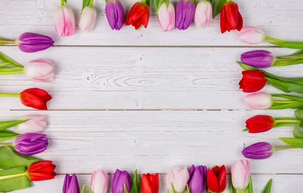 Flowers, colorful, tulips, red, white, wood, flowers, tulips