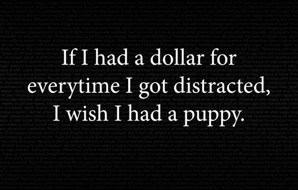 Picture life, words, fun, quote, wisdom