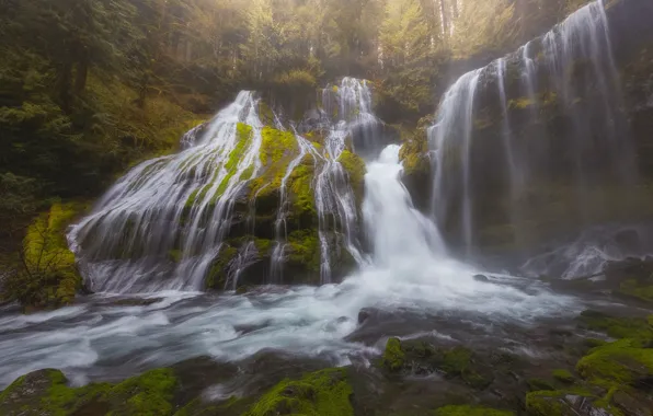 Picture forest, waterfall, cascade, Washington, Washington, Columbia River Gorge, Panther Creek Falls, Gifford Pinchot National Forest