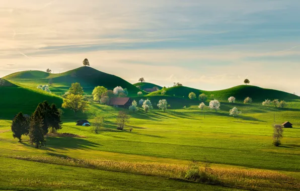 Greens, the sky, grass, the sun, clouds, trees, nature, hills