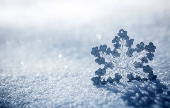 Ice, winter, macro, snow, nature, snowflake