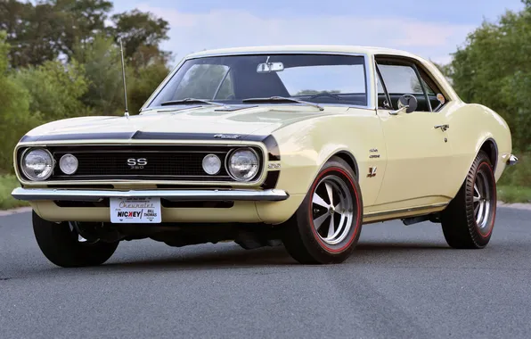Retro, coupe, Chevrolet, Camaro, sports car, coupe, 1967, 427