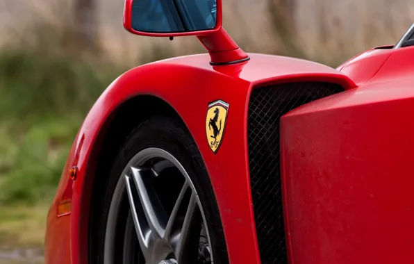 Download wallpaper Ferrari, logo, Ferrari Enzo, Enzo, close-up ...