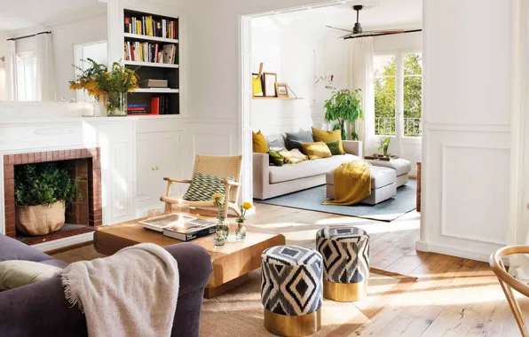 Design, style, interior, plants, fireplace, sofas, living room, light