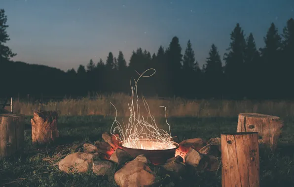 Picture forest, the sky, stars, trees, stones, the evening, ate, the fire