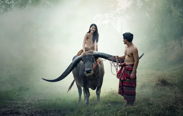 Thailand, people, couple, cow