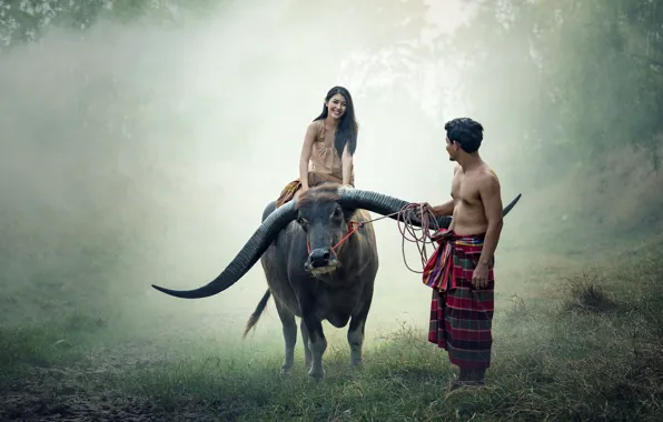 People, couple, thailand, cow