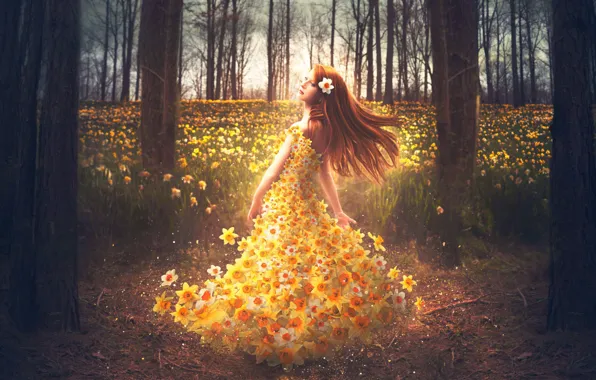 Picture GIRL, FOREST, NATURE, FIELD, FLOWERS, BROWN hair, SPRING, DAFFODILS
