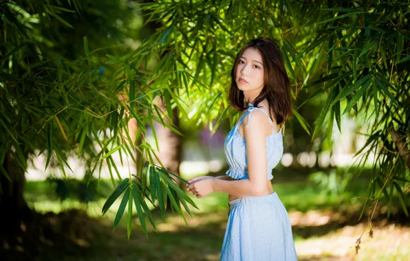 Leaves, girl, branches, Asian, cutie