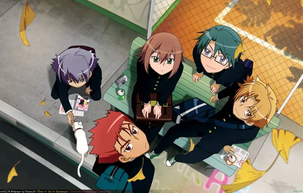 Cat, bench, up, glasses, guys, friends, school uniform, Baka to Test to Shoukanjuu