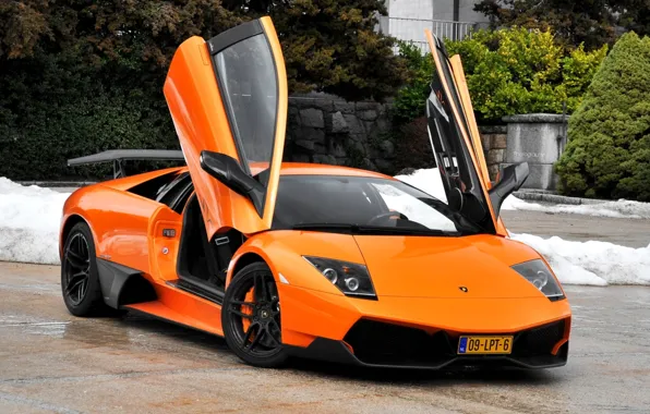 Orange, background, Lamborghini, door, supercar, the bushes, Murcielago, the front