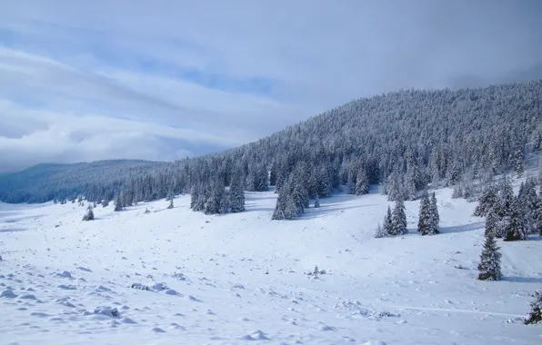 Picture winter, field, forest, the sky, clouds, snow, mountains, hills