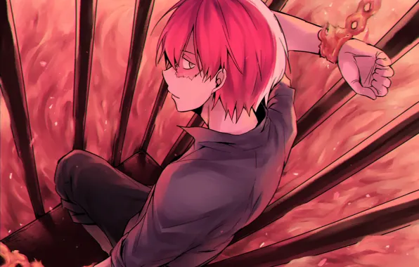 Guy, My Hero Academia, Boku No Hero Academy, Todoroki Shoto, My Hero Academy