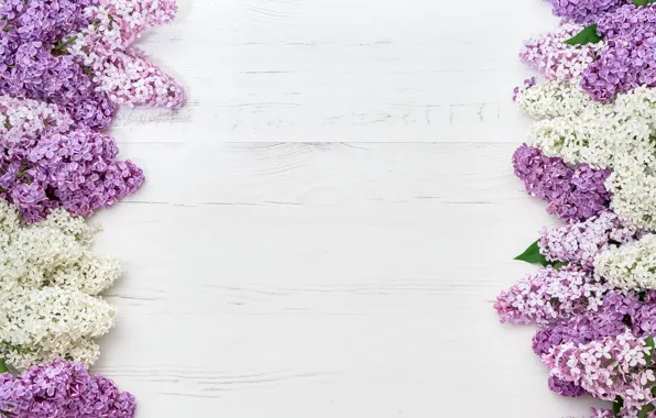 Picture white, flowers, background, pink, wood, lilac, LAIMDOTA GRIVANE