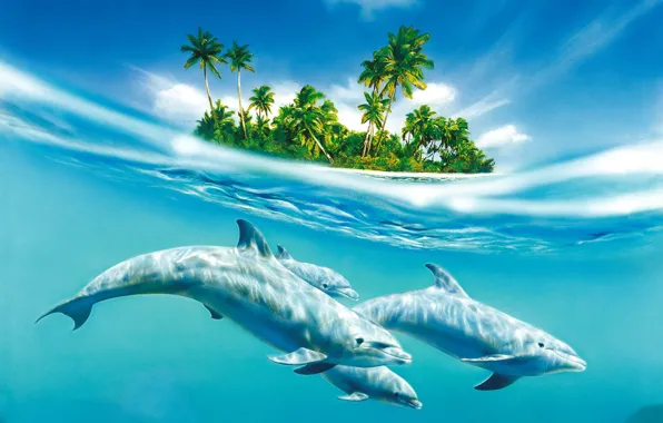 Water, island, 155, dolphins