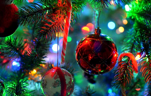 Decoration, branches, lights, toys, ball, spruce