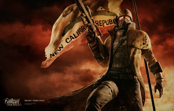 Flag, soldiers, armor, Fallout, rifle, New Vegas, NCR