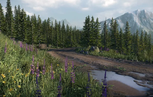 Road, forest, mountains, daytime, Mountain Lodge