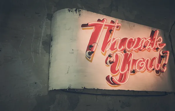 Picture light, the inscription, tube, neon, sign, thank you, thank you