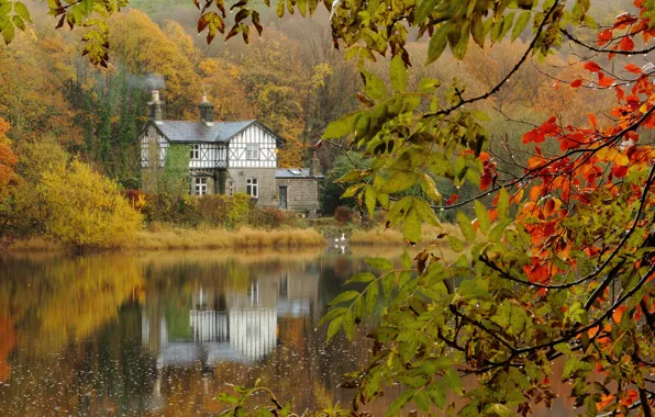 Picture autumn, forest, branches, lake, house, after the rain