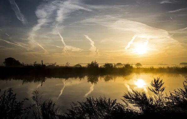 Branches, lake, beauty, space, the reflection in the water, ebo