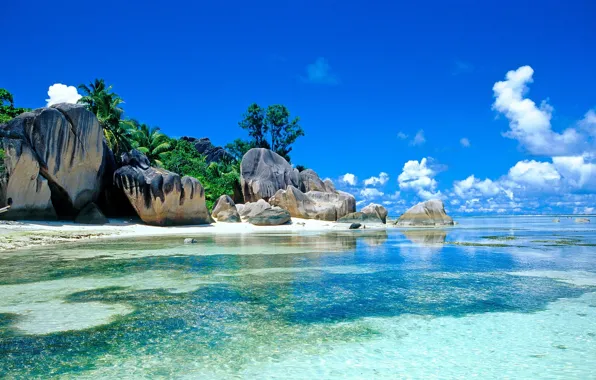 Picture sea, tropics, palm trees, Seychelles