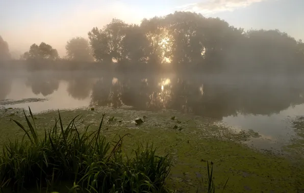 Picture landscape, fog, lake, morning