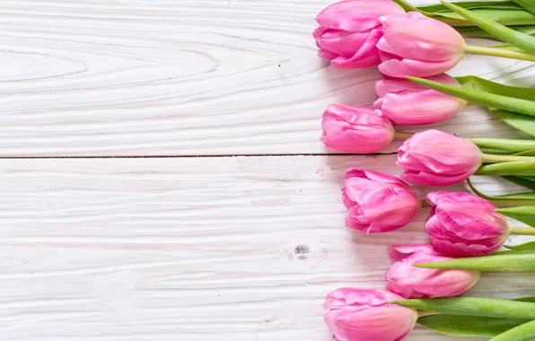 Picture flowers, tulips, pink, fresh, wood, pink, flowers, tulips