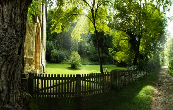 Picture summer, grass, rays, light, trees, nature, tree, home