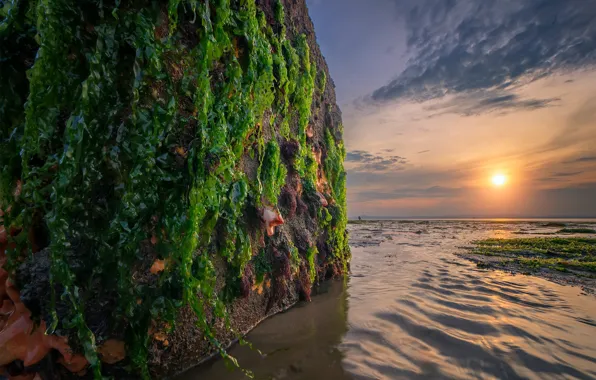 Sea, sunset, rock