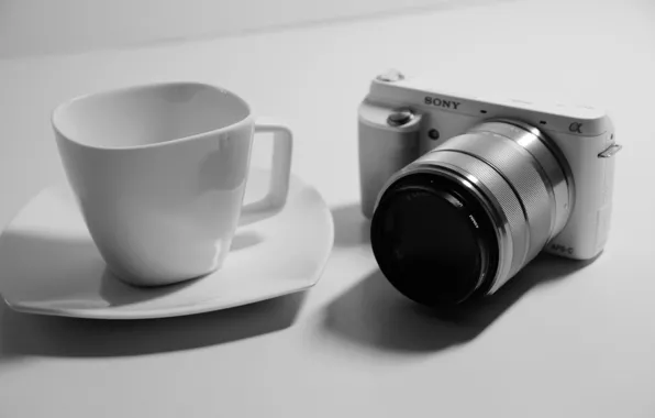 Picture white, black, sony, night, camera, macro, cup, mood