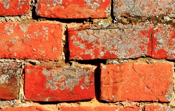 Picture wall, brick, texture