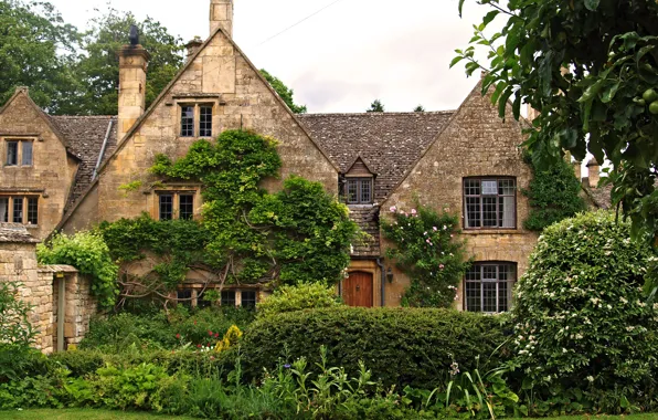 Grass, the city, house, photo, England, the bushes, Tewkesbury