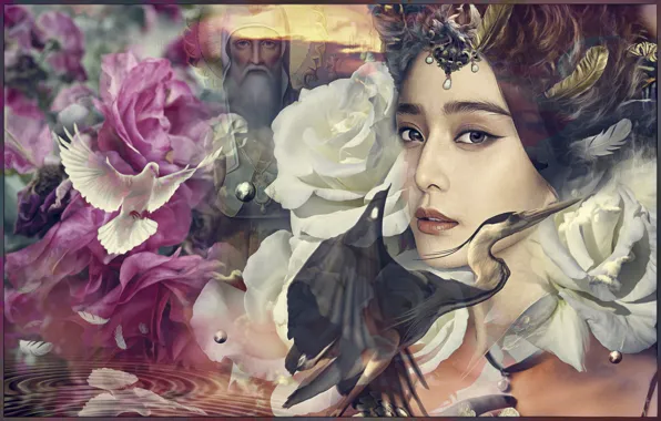 Girl, flowers, collage, dove, art, Heron