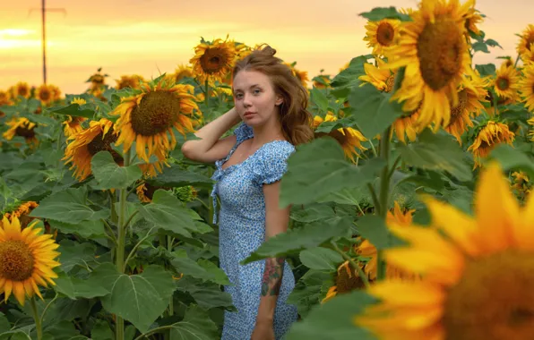 Picture look, girl, sunflowers, pose, model, portrait, makeup, figure