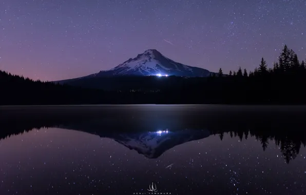 Picture sea, forest, water, stars, light, snow, trees, night