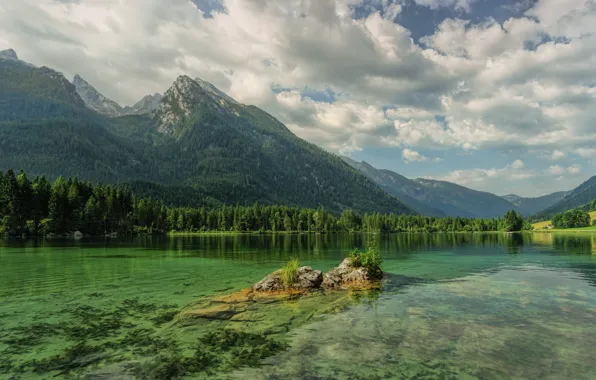 Forest, summer, the sky, clouds, landscape, mountains, nature, green