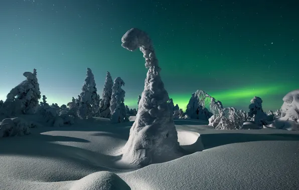 Winter, snow, trees, landscape, night, nature, stars, Northern lights