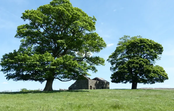 Picture field, the sky, clouds, trees, nature, house, CA, USA