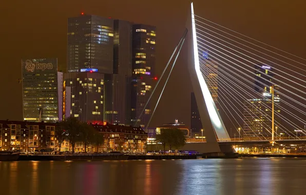 Night, bridge, lights, home, support, Netherlands, Rotterdam
