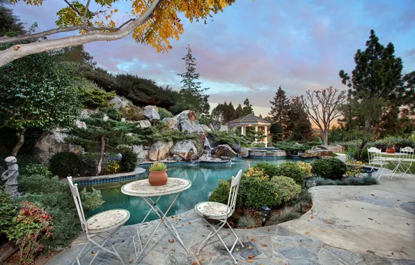 Picture nature, photo, landscape, pool, CA, USA, the bushes, San Juan Capistrano