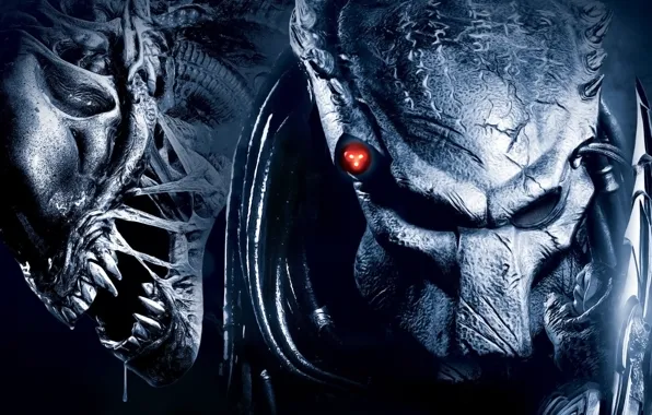 Picture predator, stranger, Aliens vs Predator