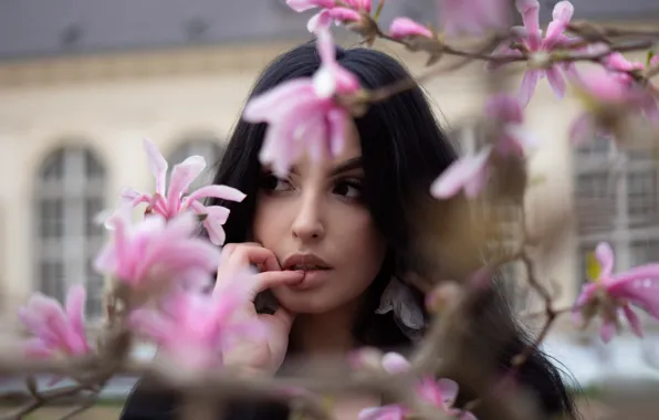 Picture look, girl, flowers, branches, face, the city, building, portrait