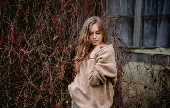 Autumn, girl, house, berries, window, girl, the bushes, Rus