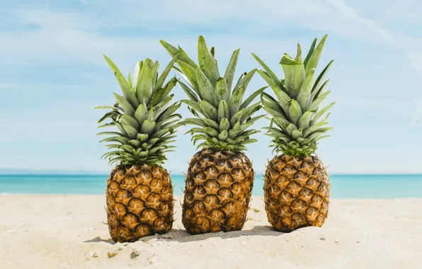 Sand, sea, beach, summer, stay, summer, pineapple, beach